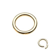 Segmentring Piercing - Gold